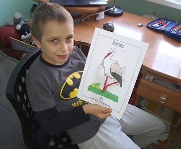 Placa plastyczna 
