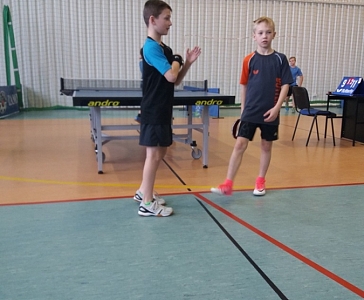 Tenis stołowy