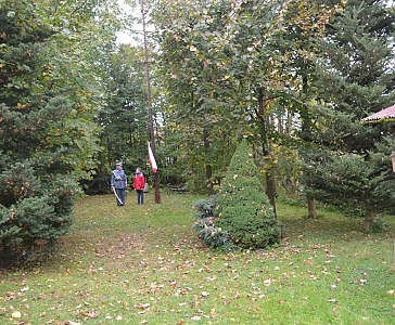Rogóż