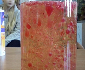 Lekcje przyrody 2