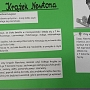 Krążek Newtona